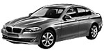 BMW F10 P0081 Fault Code